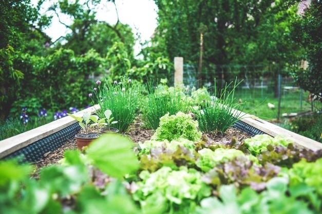 Gardening and Permaculture In Your Strata Property